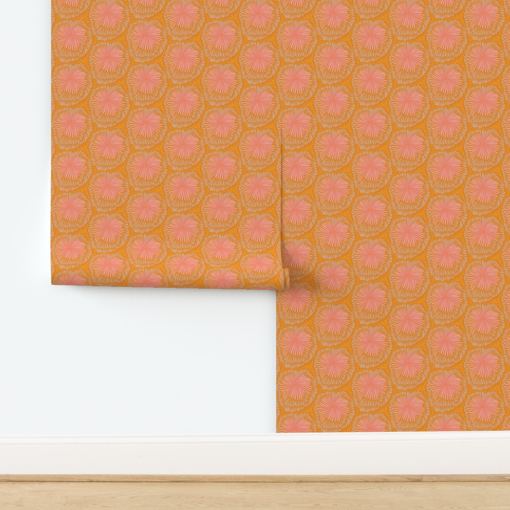 Burst, Medium Scale, wallpaper, sunset