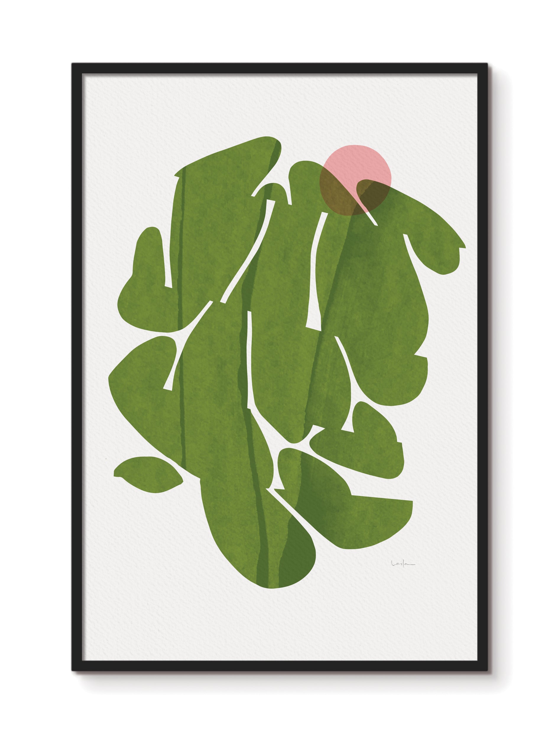Looking In, fine art print, fresh start