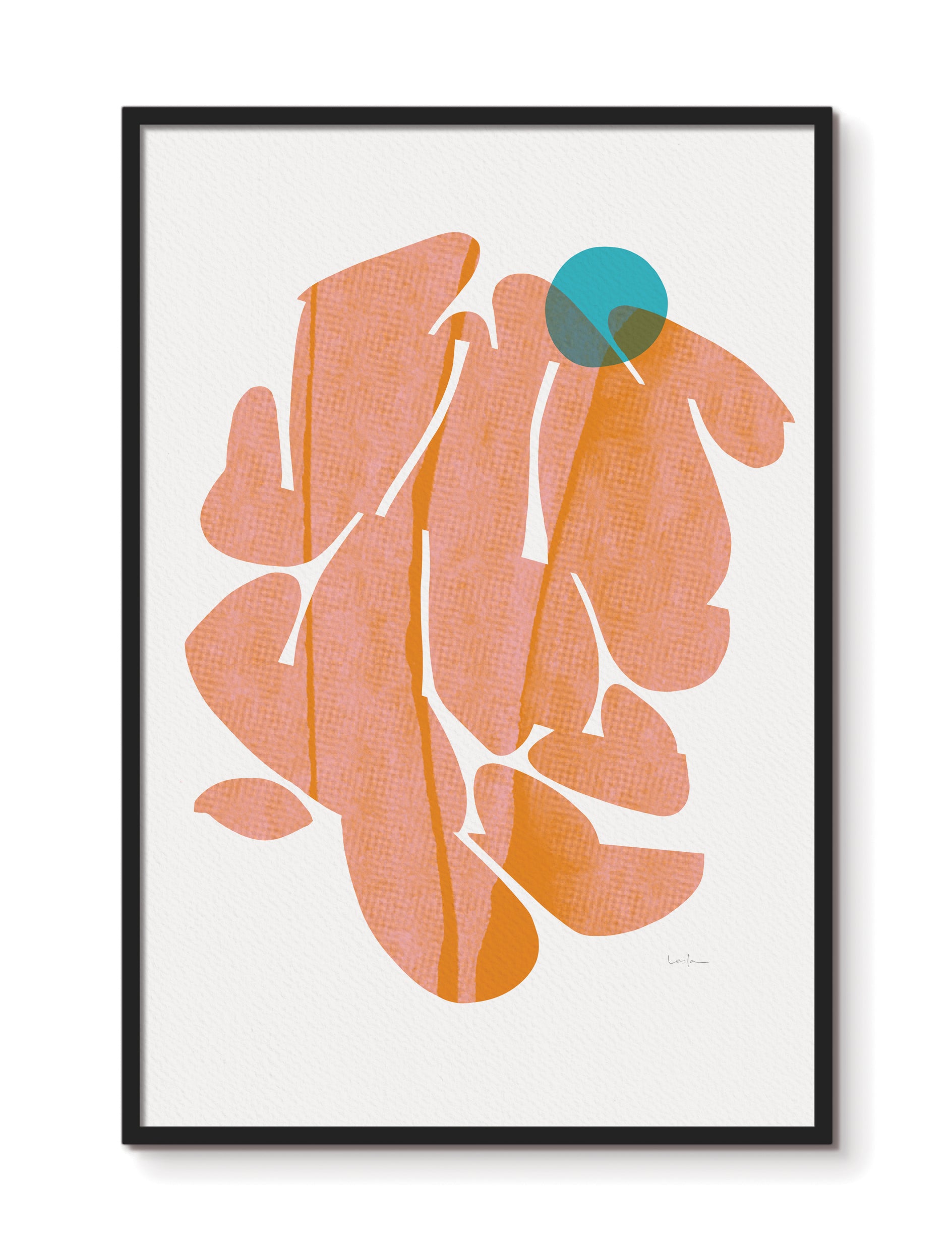 Looking In, fine art print, gradual
