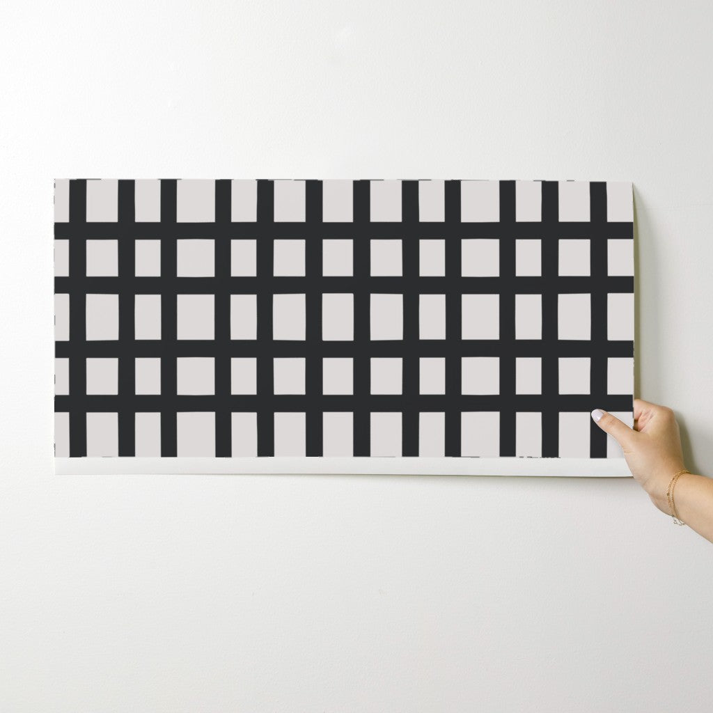 Person holding a black and white grid-patterned box on a white background. Designed by artist Leila Simon Hayes. 